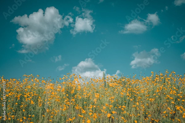 Obraz 여주 저류지 풍경