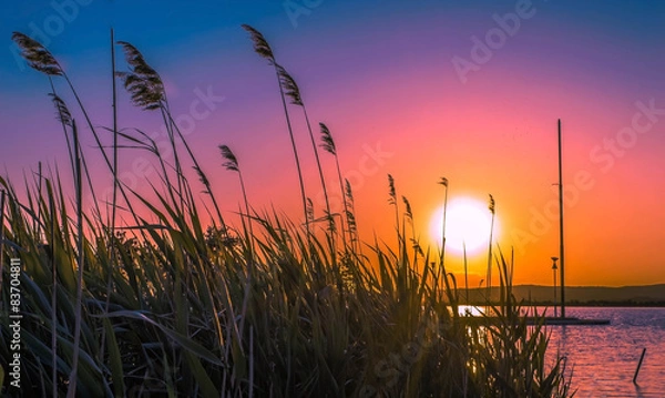 Obraz Sunset on the lake