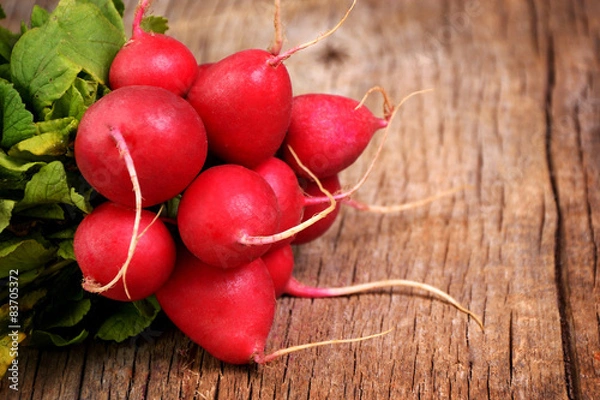 Fototapeta radishes