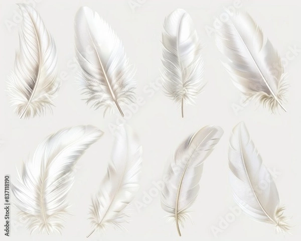 Fototapeta Bird Feather. Set of White Feathers Isolated. Angelic Accessory in Cygnet Down