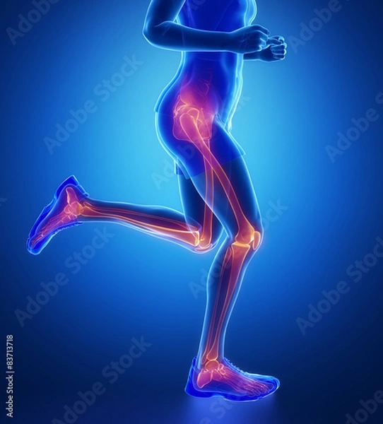 Obraz Knee, hip, ankle - running man leg scan in blue