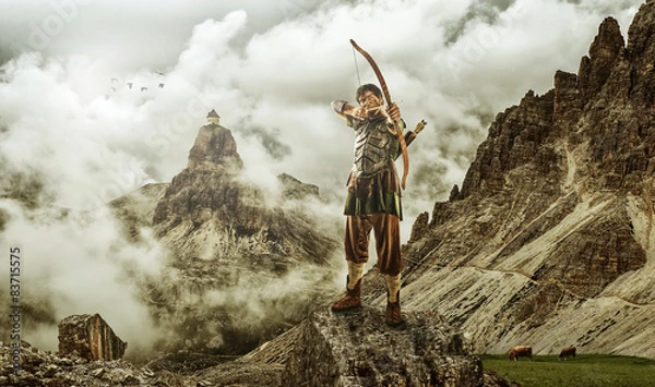 Fototapeta The men's archery target - the high mountain