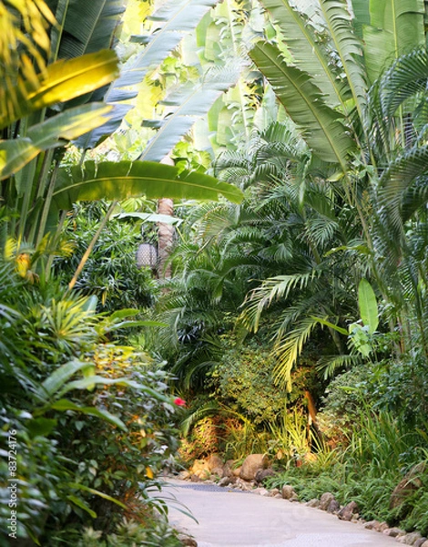 Fototapeta tropical Garden