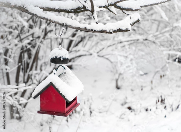 Obraz Red bird house covered with snow