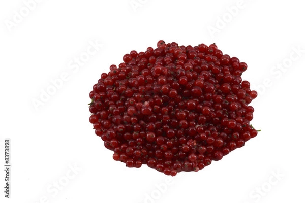 Obraz Johannisbeeren_rot