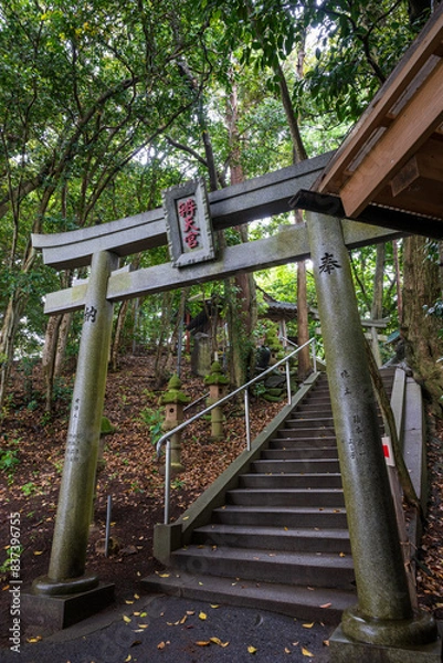 Fototapeta 日本の鳥取県の砂丘地帯の美しい風景