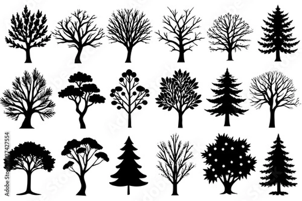 Fototapeta Different types of trees silhouette vector illustration