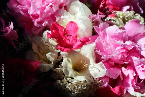 Fototapeta Flowers. Blumen