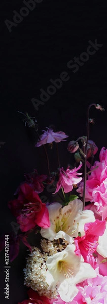 Fototapeta Flowers. Blumen