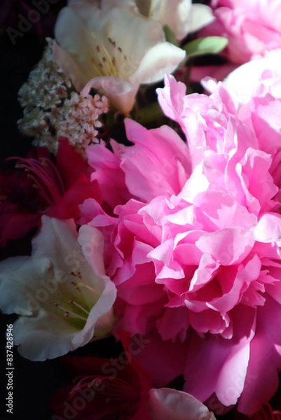 Fototapeta Flowers. Blumen