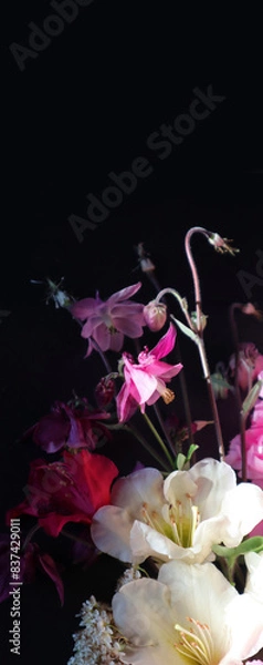 Fototapeta Flowers. Blumen