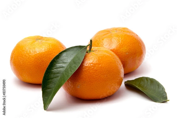 Obraz Красивый мандарин на белом фоне