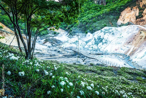 Obraz the various landscapes of a volcanic valley