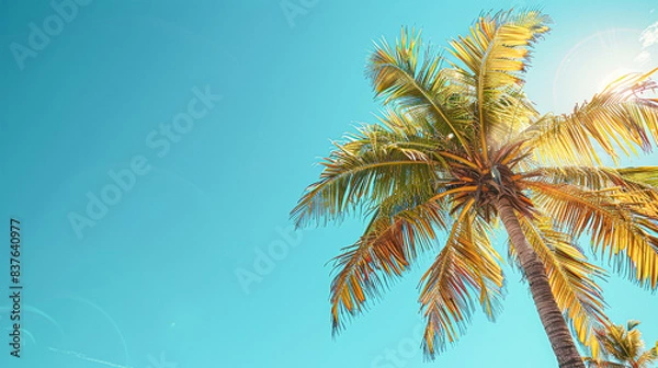Fototapeta Serene Tropical Beach Paradise with Palm Trees and Clear Blue Sky for Copyspace Bliss