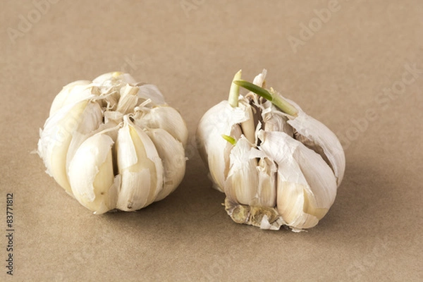Obraz Two heads of garlic