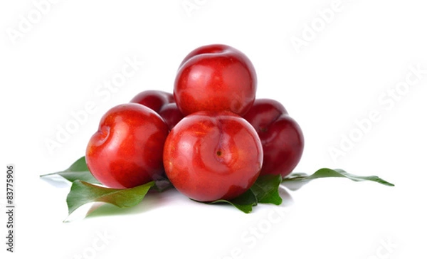 Obraz Ripe plum fruit on white background