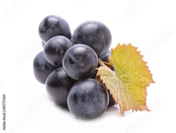 Obraz Red grapes with leaf isolated on white background