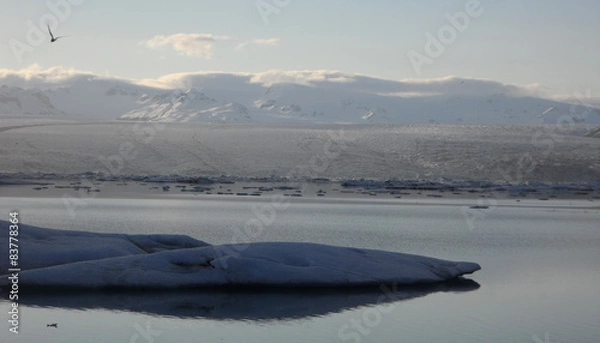 Obraz Lac de Glace Islande