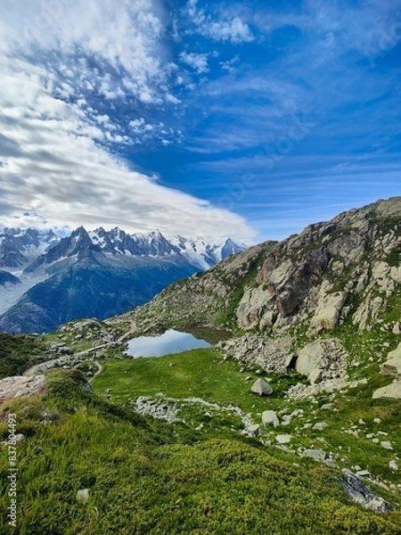 Fototapeta Vue sur le Mont blanc depuis le lac Blanc - Chamonix - Alpes - France