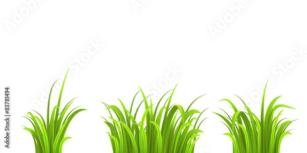 Obraz Grass three bushes isolated on white
