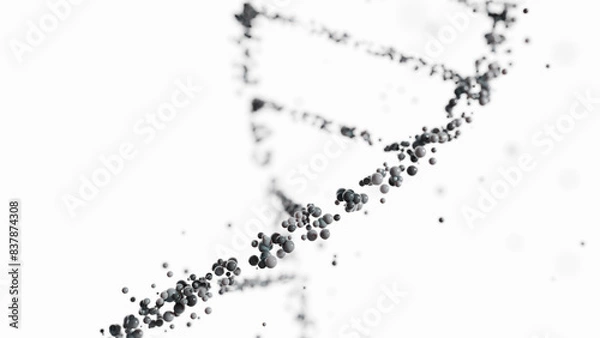 Fototapeta DNA double helix structure made of black spheres on a white background. Scientific and medical research concept for design and education.