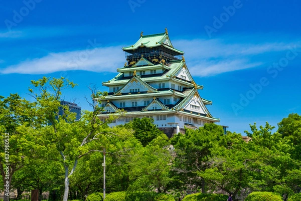 Fototapeta 青空に映える大阪城の天守閣