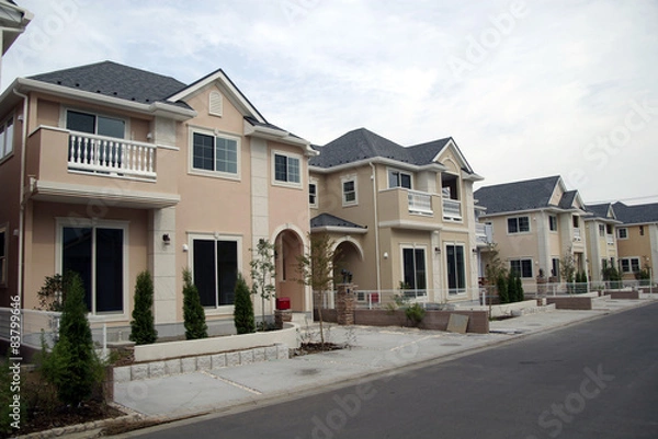 Obraz 新築住宅