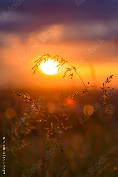 Obraz Zachód słońca w Bielsku-Białej - bokeh gradient  