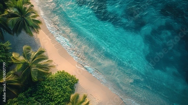 Fototapeta Top down view of the palm leaf beach.