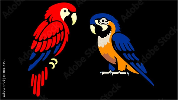 Fototapeta two parrots on a black background