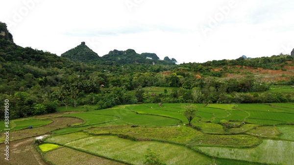 Fototapeta Aerial view, panoramic view of the countryside with a large garden