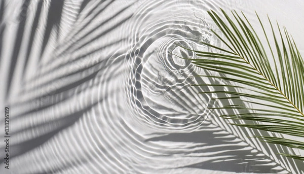 Obraz palm tree leaves