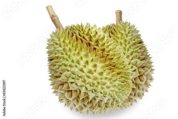 Fototapeta Fresh durian isolated on white background.King of fruits.