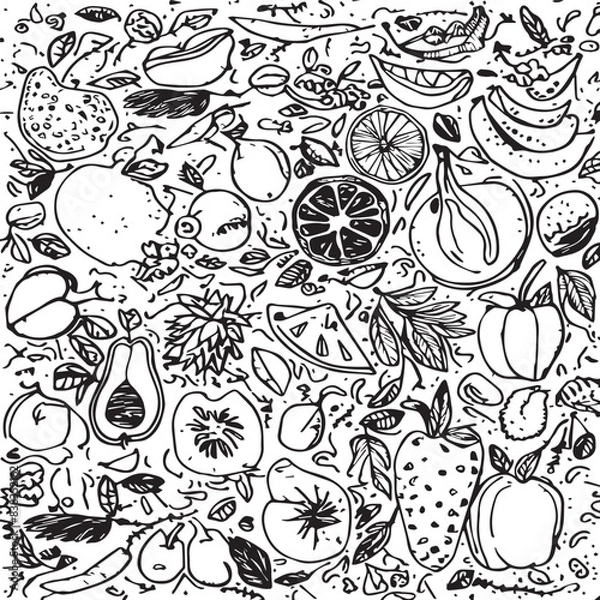 Fototapeta Monochrome Doodle Sketch of Various Fruits and Vegetables