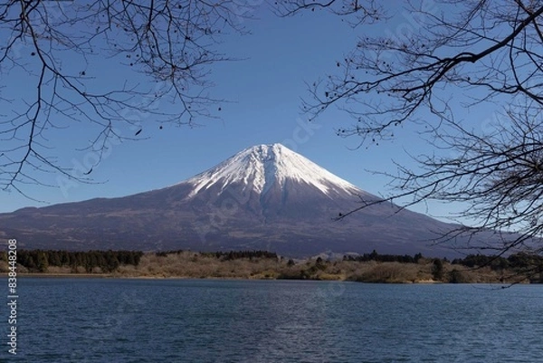 Obraz mountain and cherry blossoms