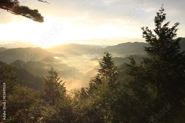 Fototapeta 山の朝