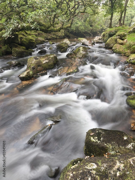 Obraz The River Plym Devon, Dartmoor, Endland. 