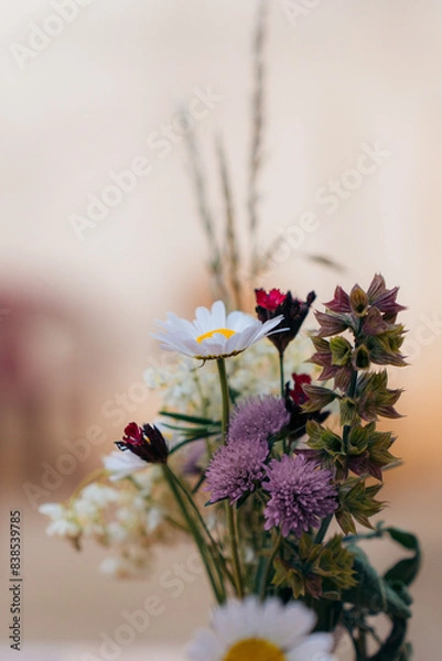 Obraz flower and ladybird