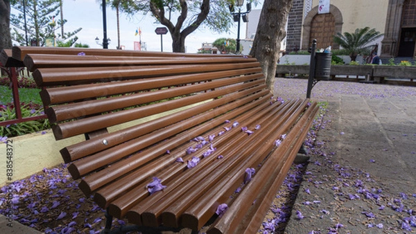 Fototapeta Serene Bench Amidst Purple Petals