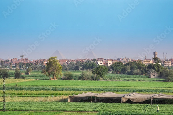 Fototapeta Egyptian Country View with Giza Pyramids at the Horizon