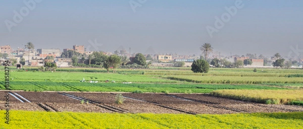 Fototapeta Egyptian Country View with Giza Pyramids at the Horizon