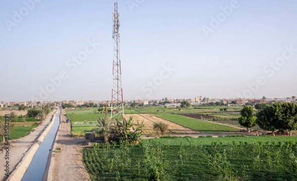 Fototapeta Egyptian Countryside View, Green Fields with Small Water Canal