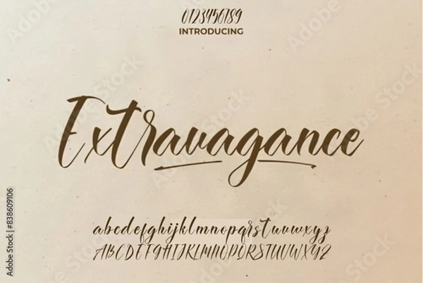 Fototapeta signature Font Calligraphy Logotype Script Brush Font Type Font lettering handwritten