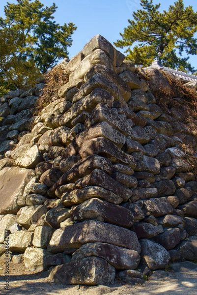 Fototapeta 石垣を見上げる