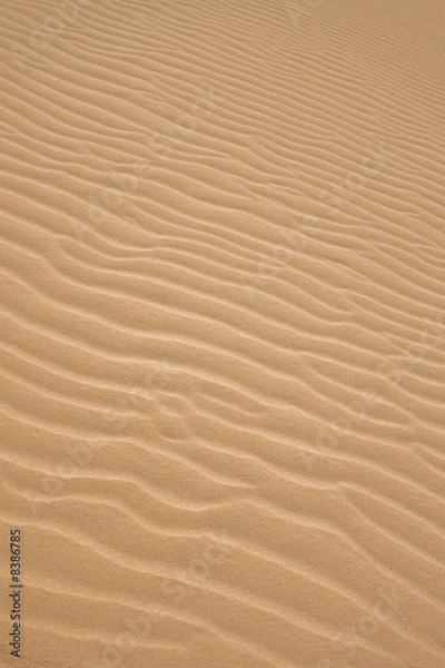 Fototapeta ripples in the sand