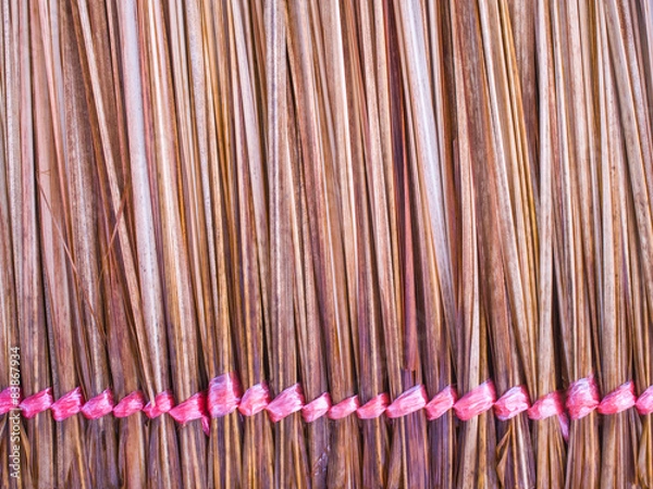 Fototapeta Vetiver grass