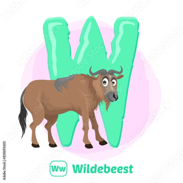 Fototapeta stock vector of W for wildebeest. alphabet animal for education