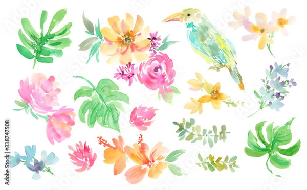 Obraz Set of transparent background illustrations of hibiscus, tropical plants, and tucan painted in watercolor