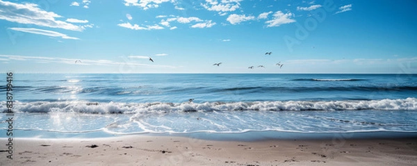 Obraz seagulls on the beach