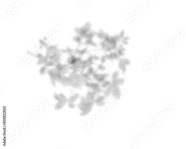 Fototapeta Palm leaf shadow overlay effect. tropical leaves shadows. Leaves shadow overlay, isolated Branches leaves. Realistic tree branches shadow blur isolate on transparent backgrounds